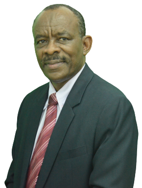 PROFESSOR TS. DR. <br> ABDURAHMAN HAMID NOUR