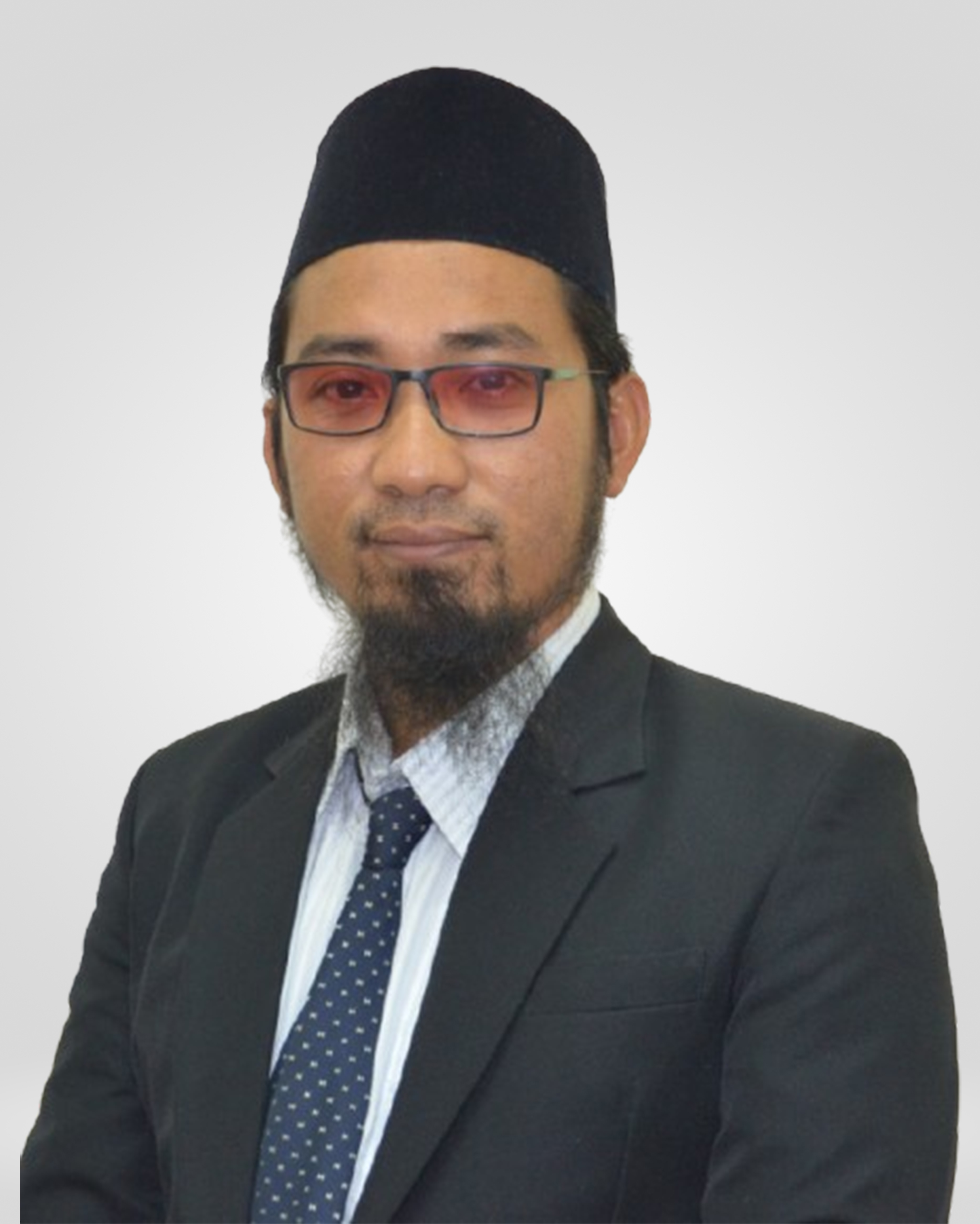 TS. DR. KHAIROOL AZIZUL <BR>BIN MOHAMMAD